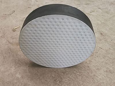 舒兰市四氟板式橡胶支座易于更换缓冲隔震